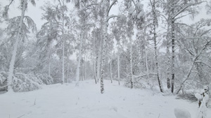 Sno 5 22.jpg
